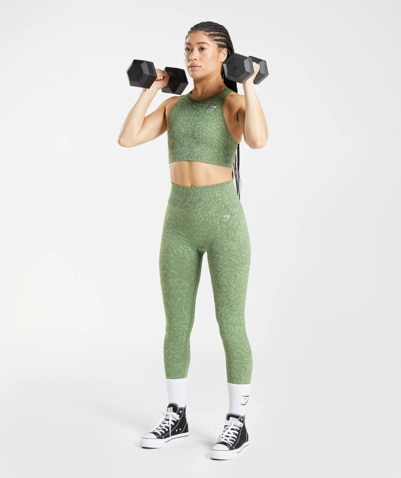 Women's Gymshark Adapt Animal Seamless Sports Bra Green | NZ 2DOJTL